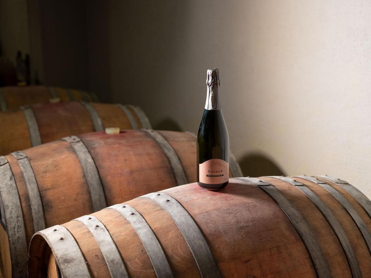 Agriturismo Podere Cavaga Lago D'Iseo Agribio Winery Foresto Sparso Eksteriør bilde